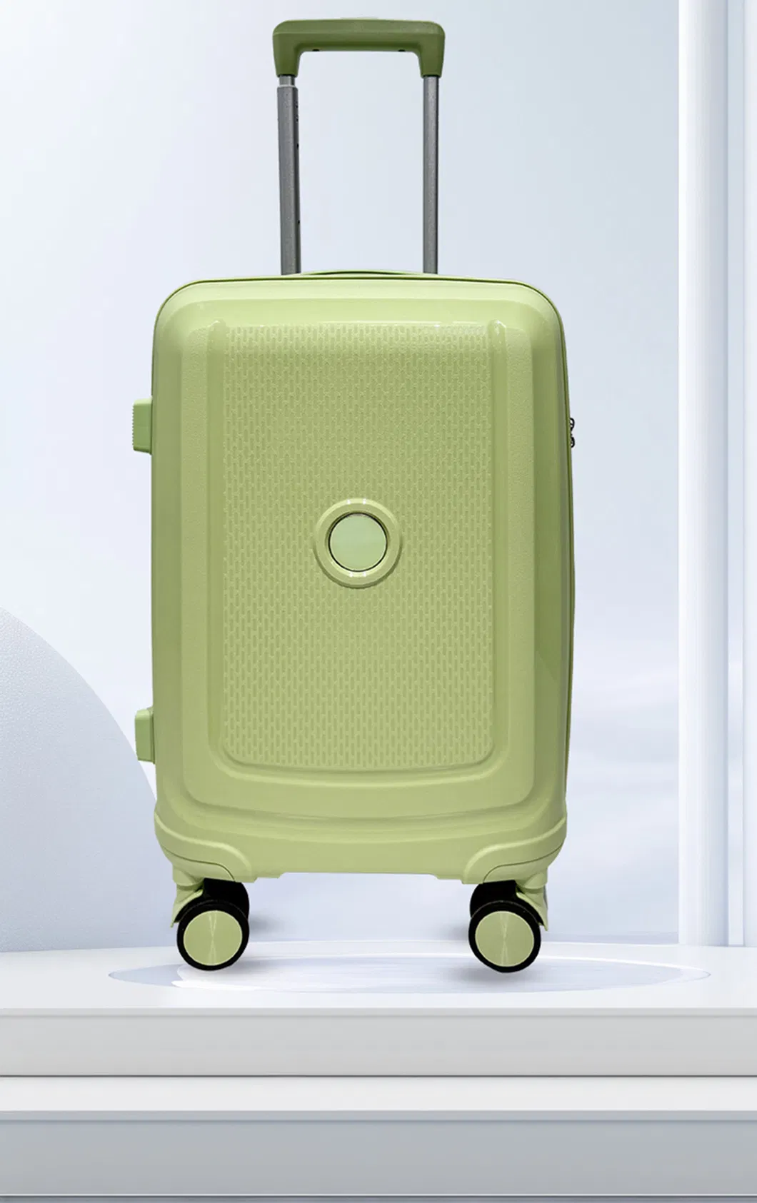 Luggage Detail 1