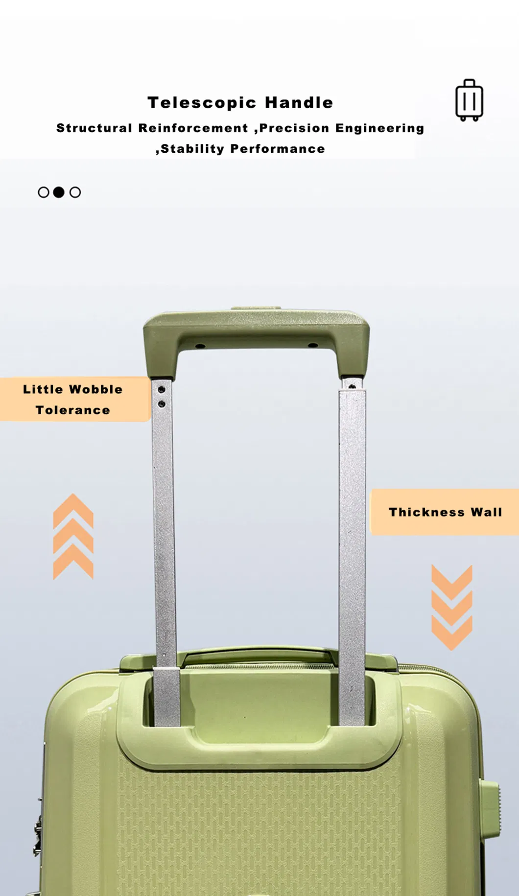 Luggage Detail 4