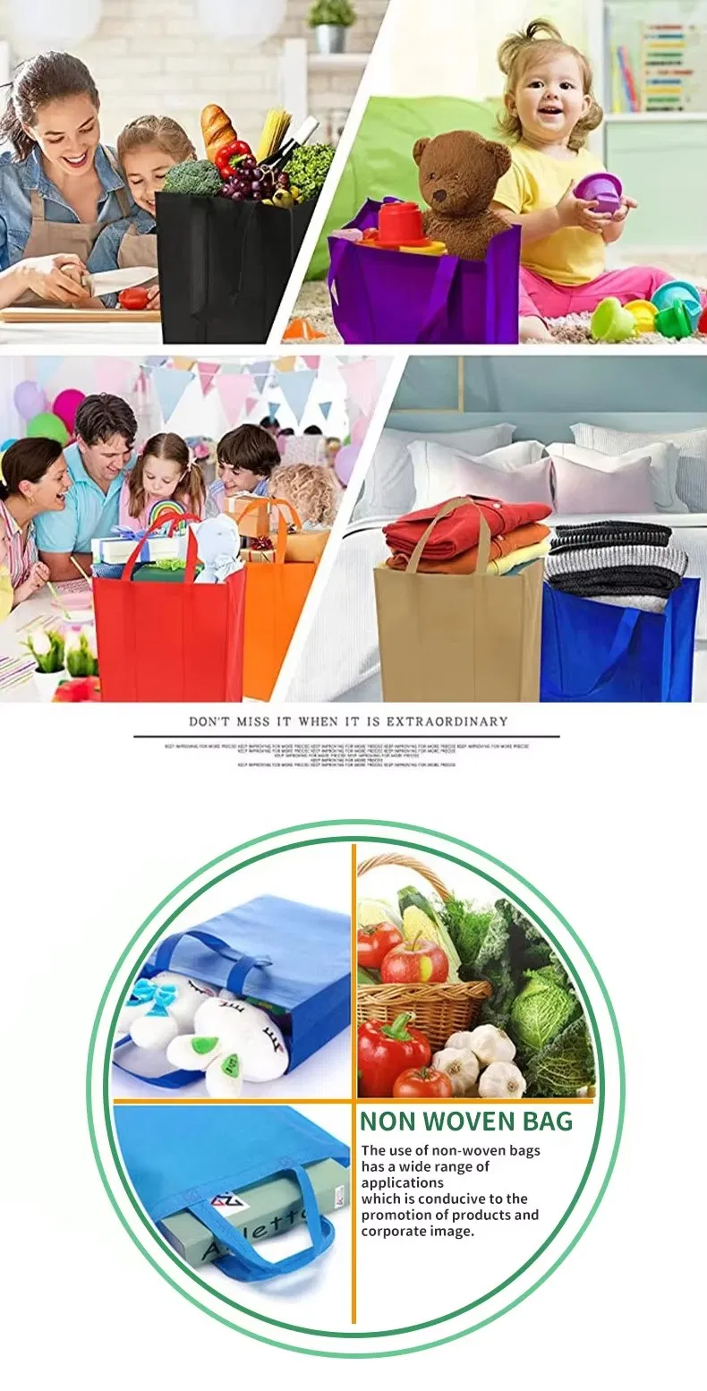 Non woven bag details