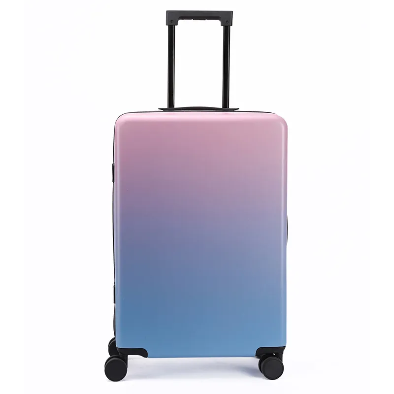 Premium Luggage View 2