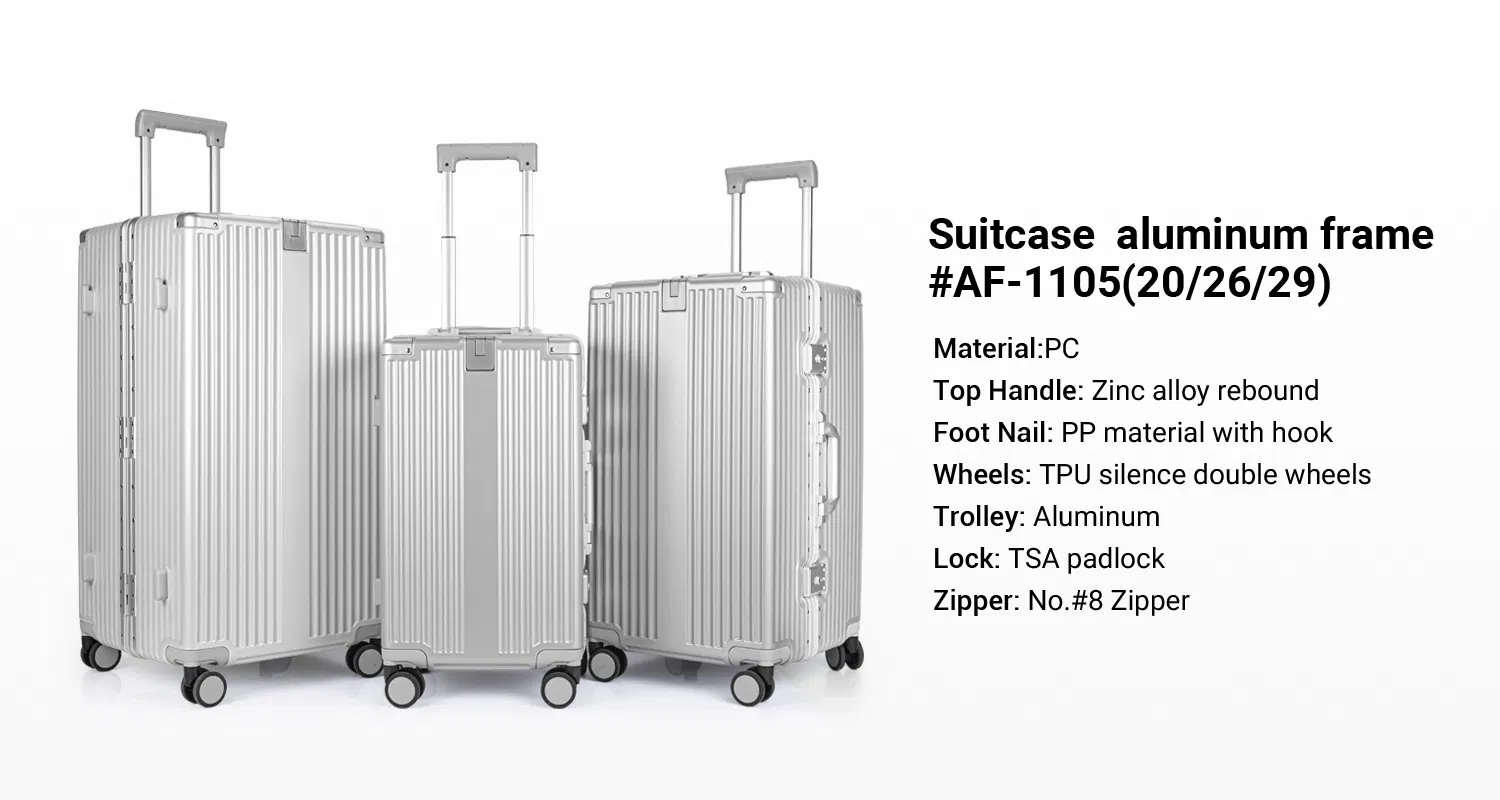 Carry on luggage detail 1