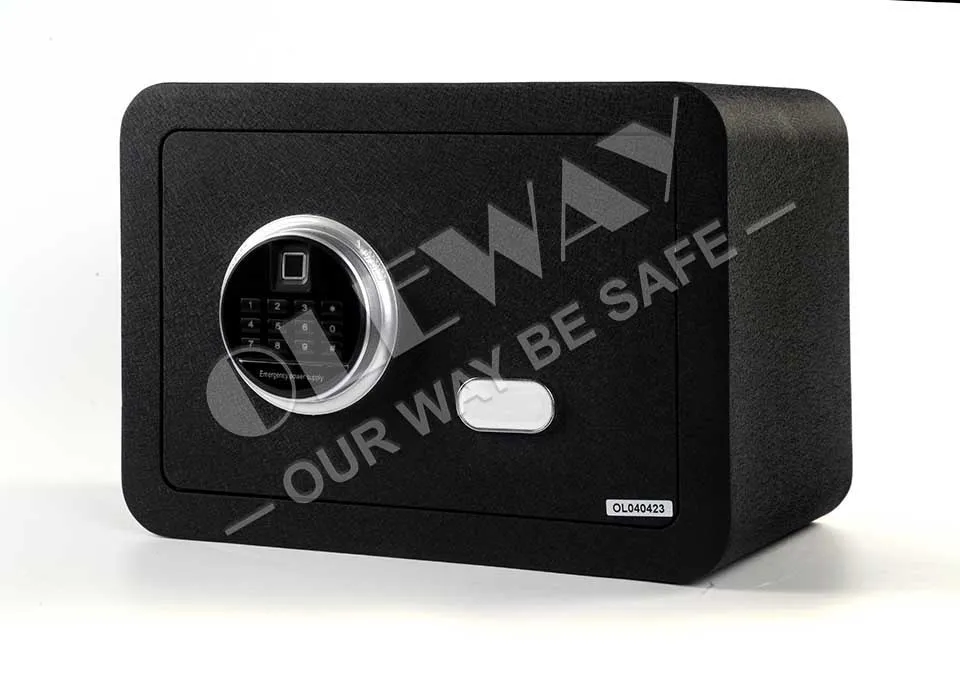 Fingerprint Safe Detail