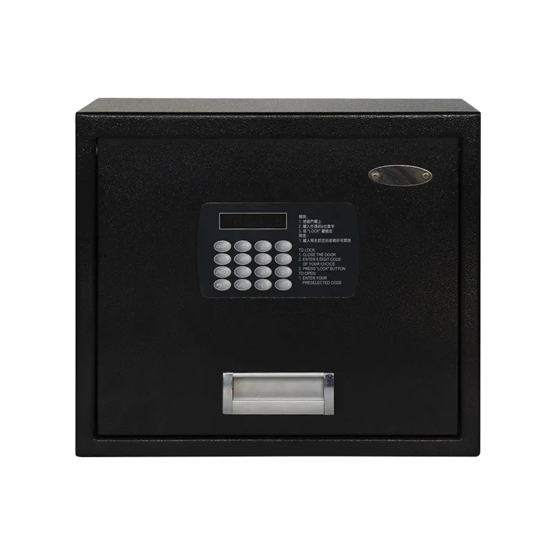 Electronic Lock Detail