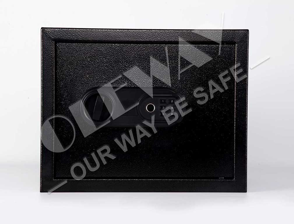 Fingerprint Safe, Biometric Safe for Home