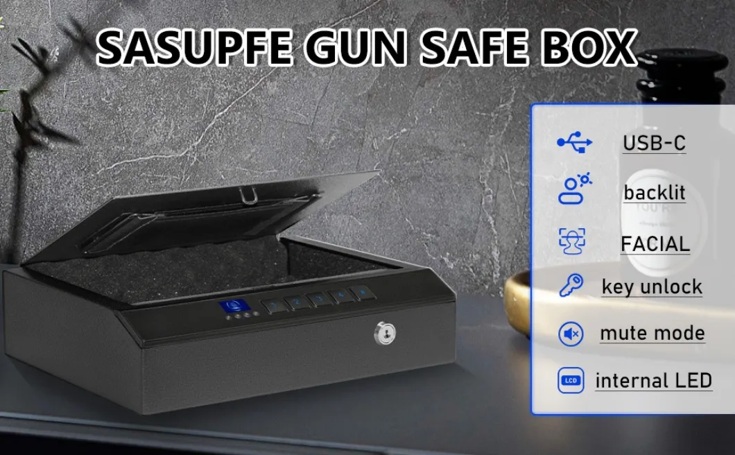 Gun Safe Box View 2