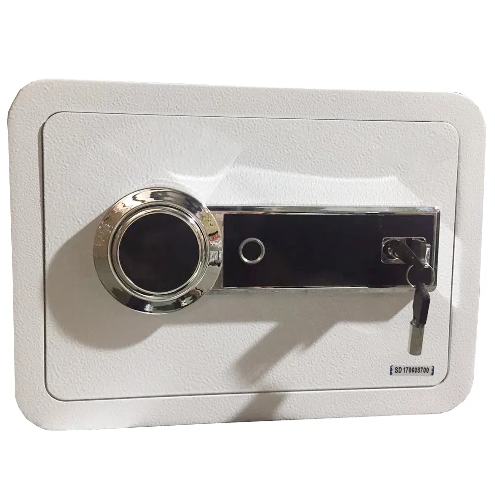 Safe Interior Details