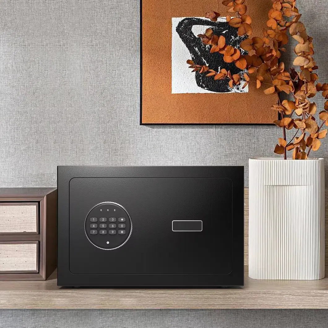 Compact Safe Storage