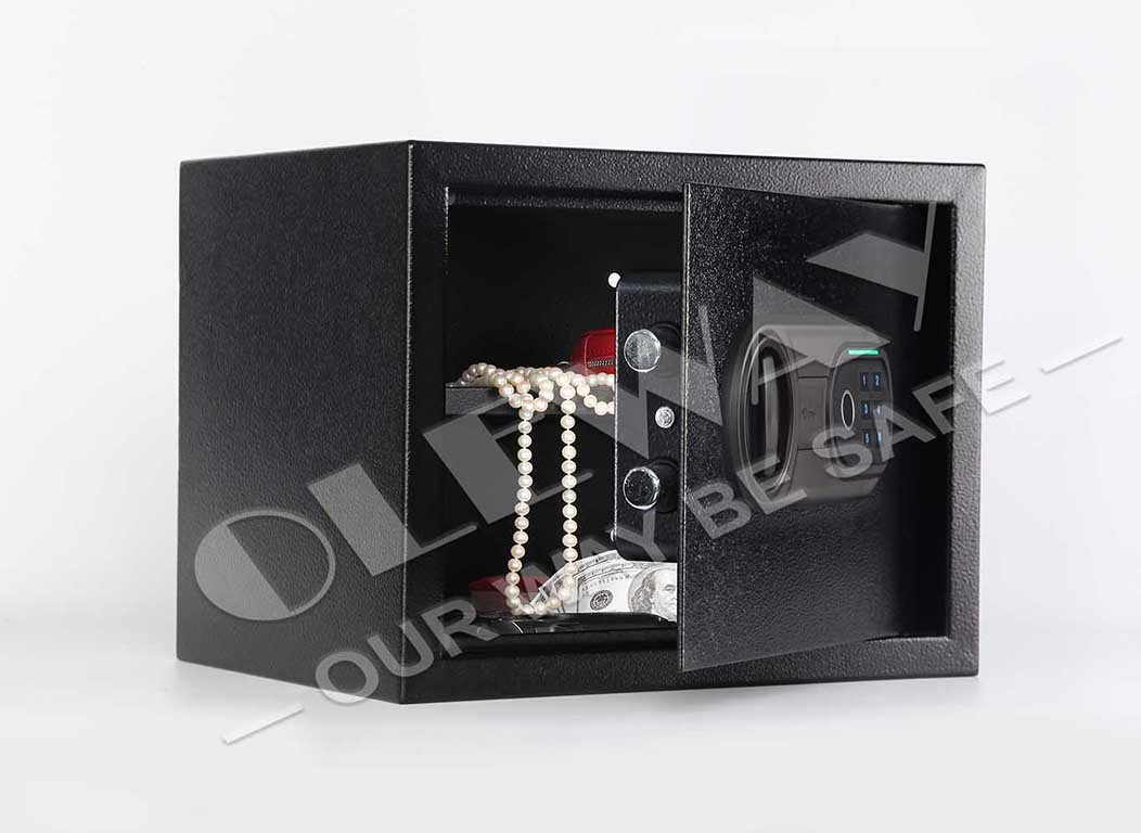 Fingerprint Safe, Biometric Safe for Home