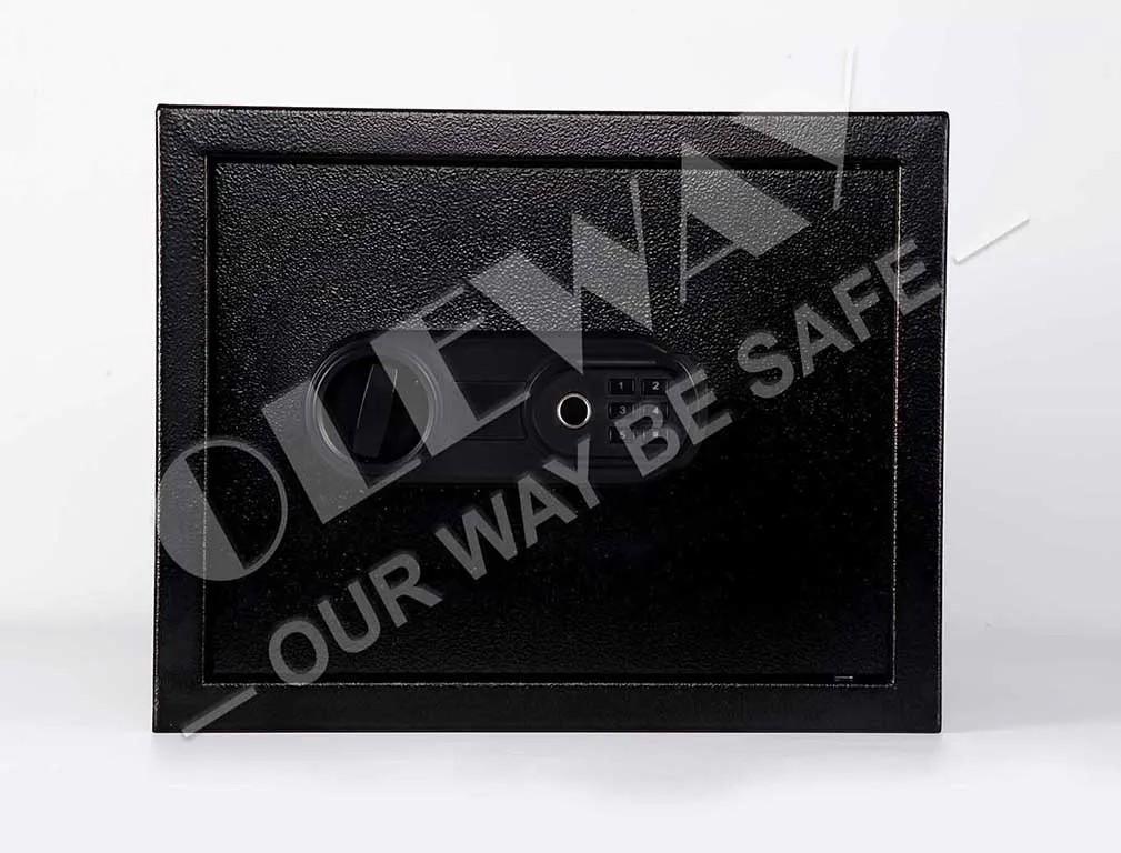 Fingerprint Safe Front View