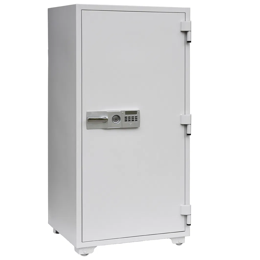 Fire Resistant Data Storage Safe with Two Key Locks