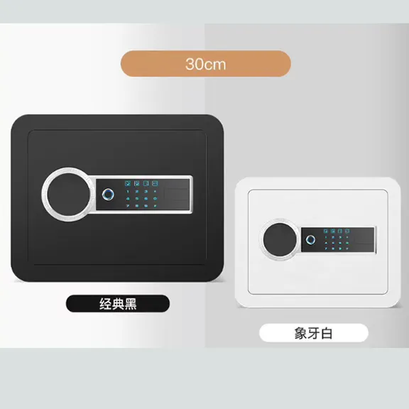 Biometric Keypad Fingerprint Safe