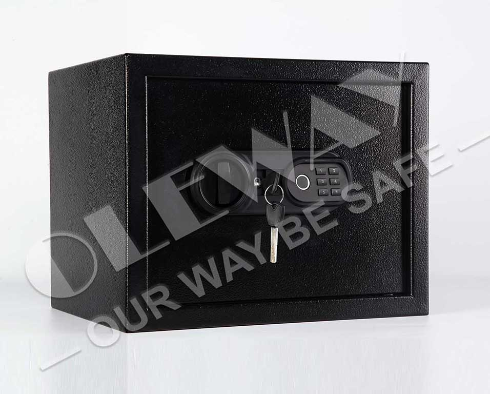 Fingerprint Safe, Biometric Safe for Home