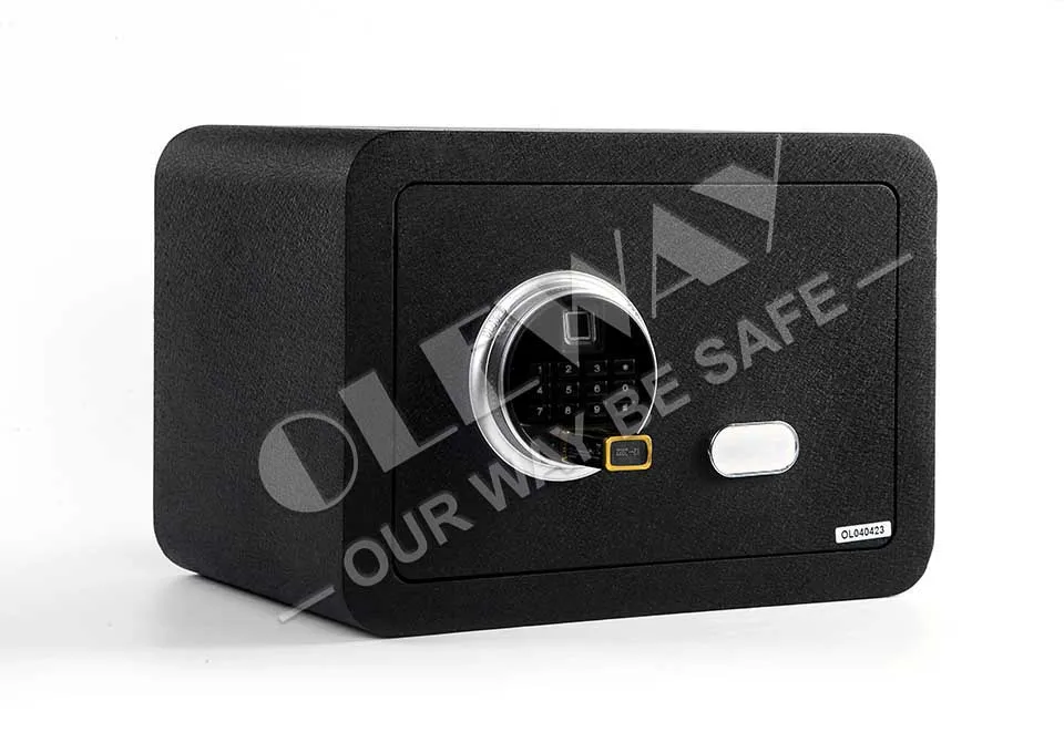 Luxury Biometric Safe