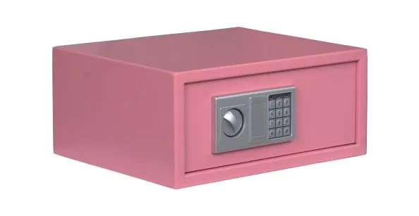 Digital Safe Box Interior