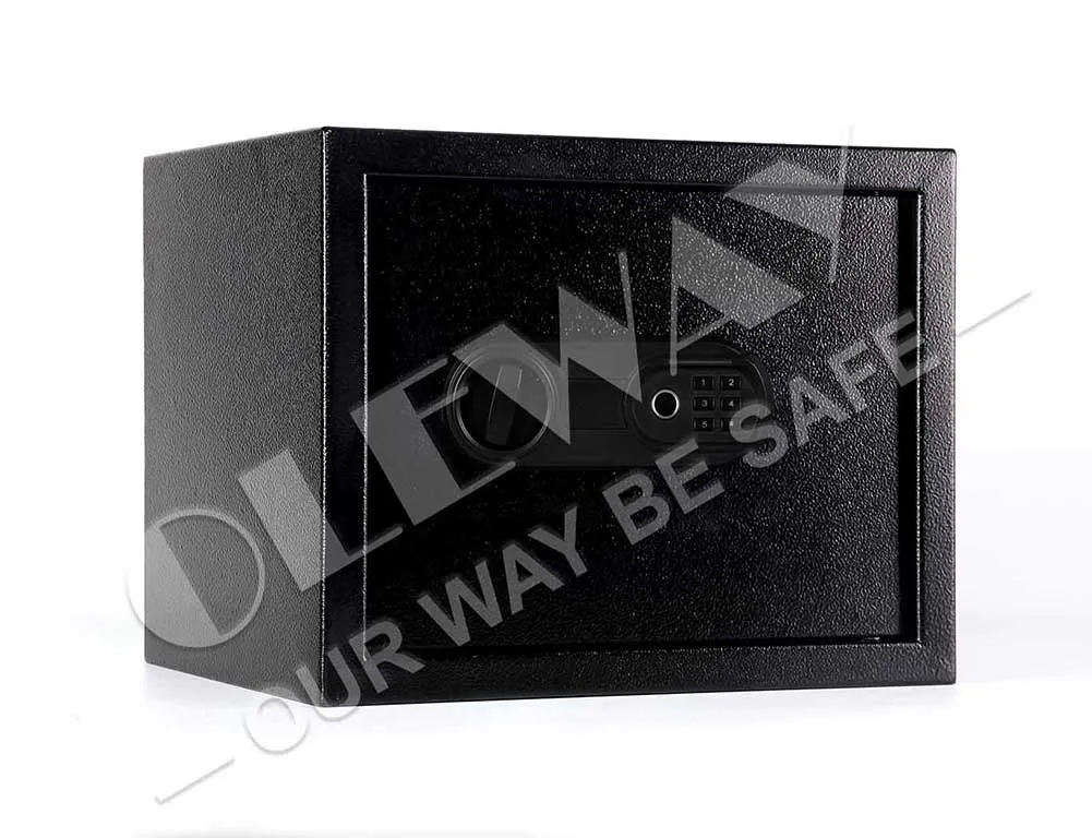 Biometric Safe Detail