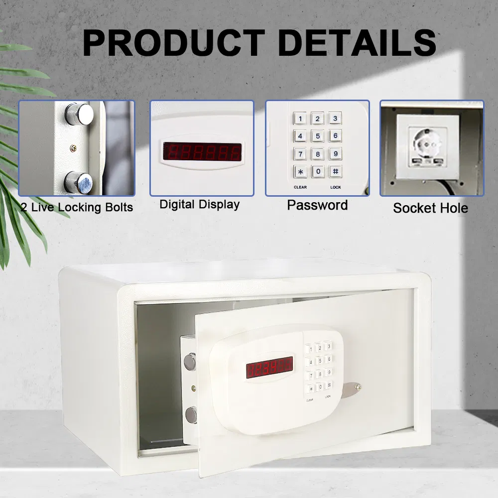 Safe Box Mounting Points