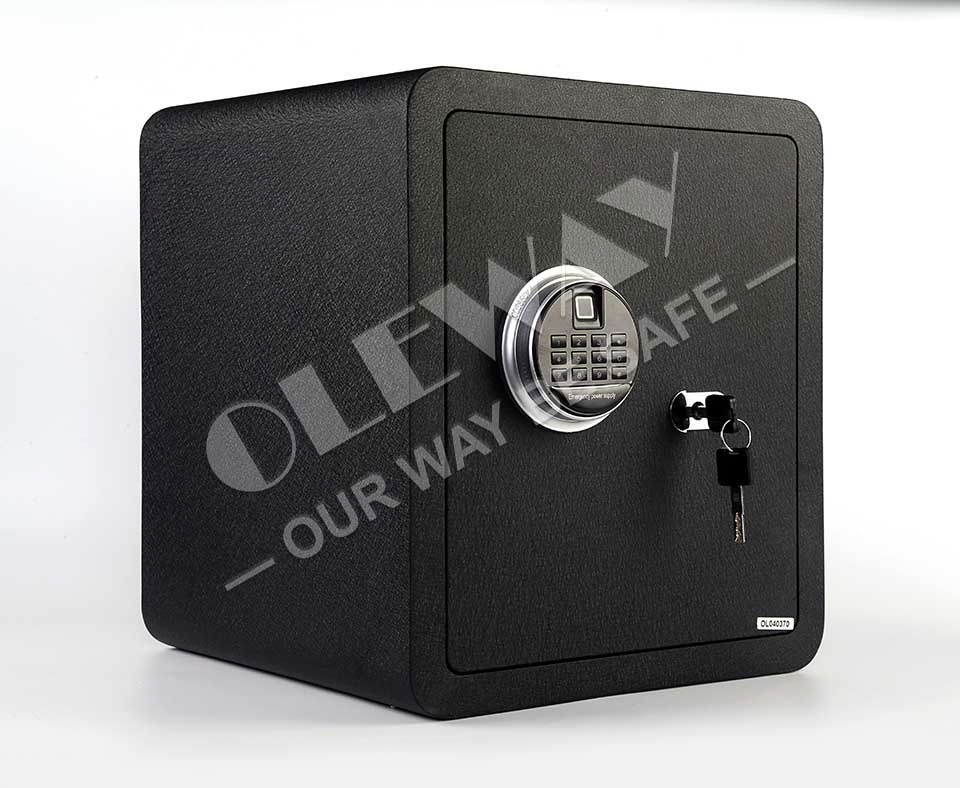 Luxury Biometric Safe Home Office Use Fingerprint Safe