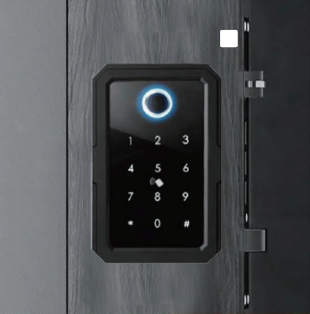 Smart Fingerprint Lock Display
