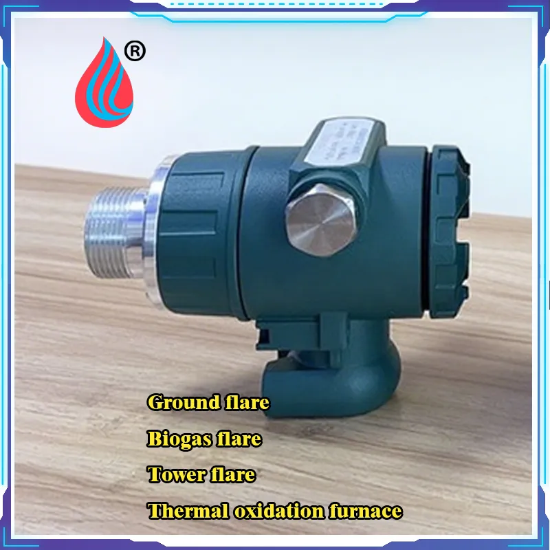 Flame Detector Structure