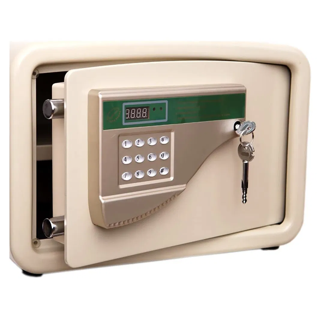 Electronic Safe Box View 2