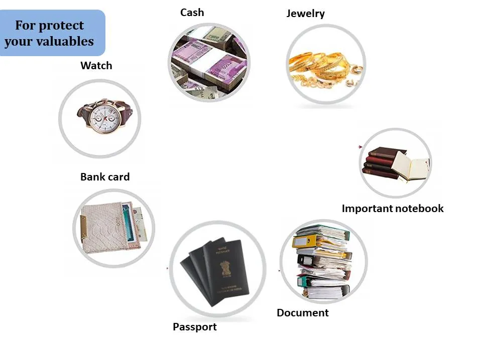 Office Biometric Safe