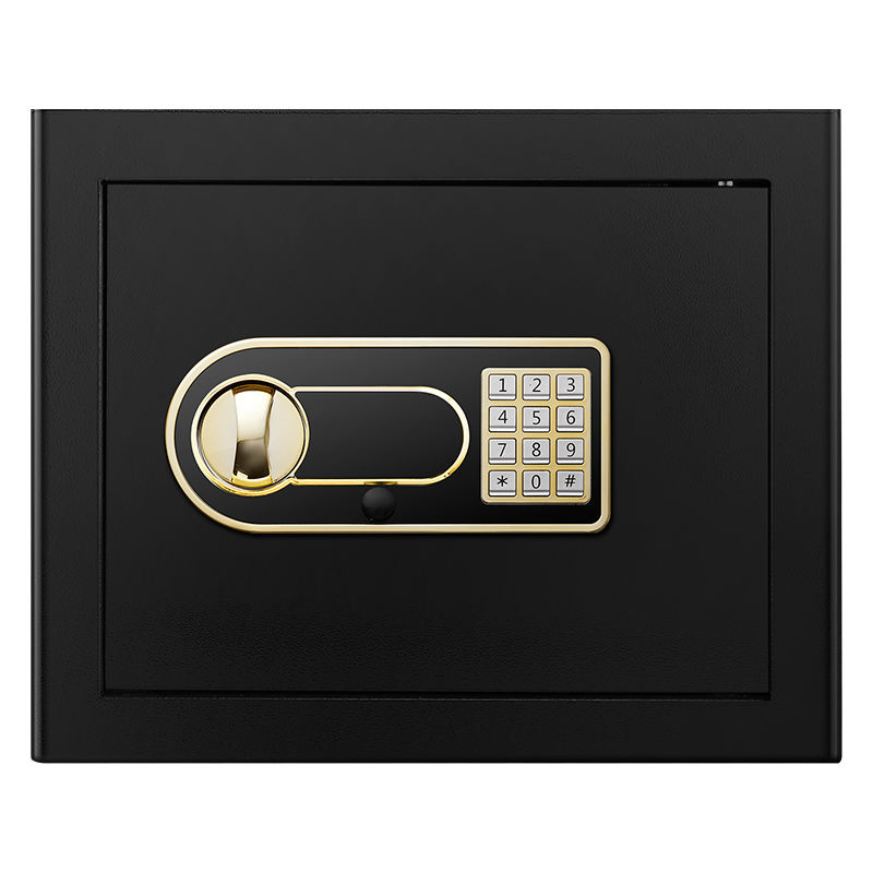 Compact Fingerprint Safe Box for Ultimate Home Security