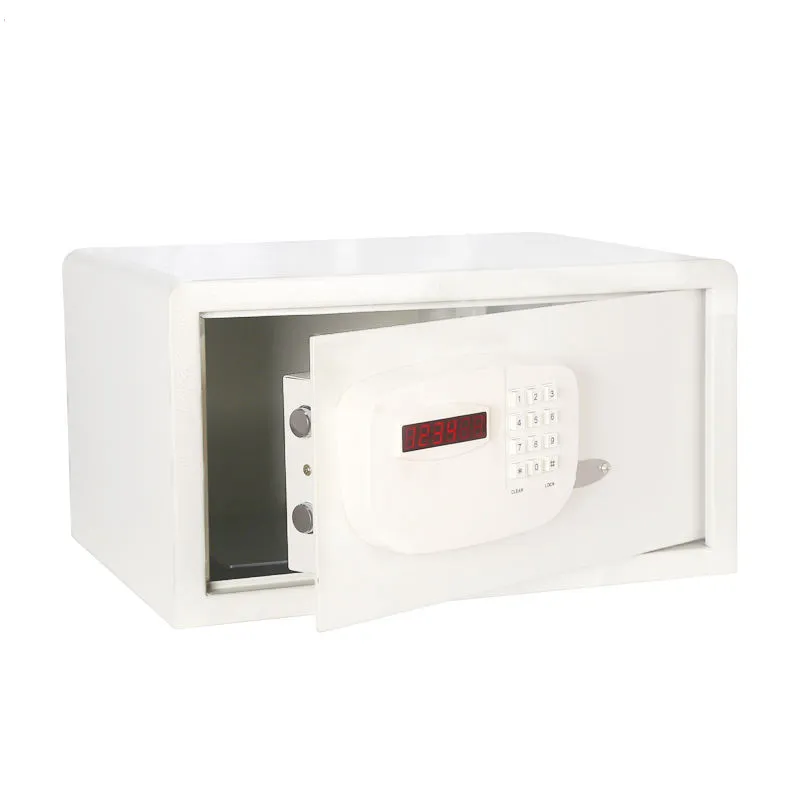 Safe Box Interior Detail