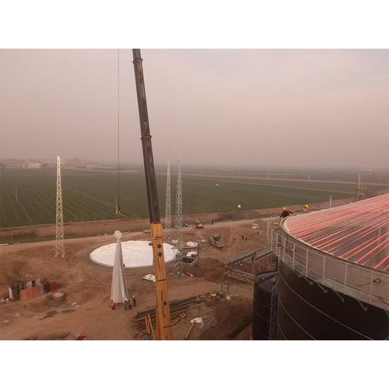 Innovative Biogas Storage Solution for Sustainable Energy Management