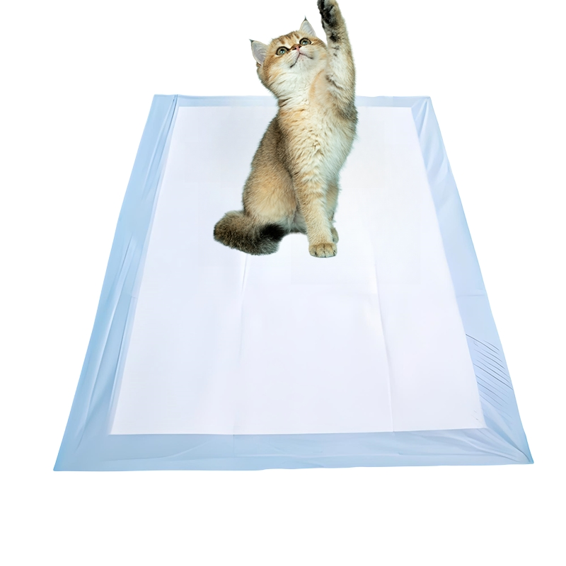 Eco-Friendly Dog Training Pads for Easy Clean-up Solutions