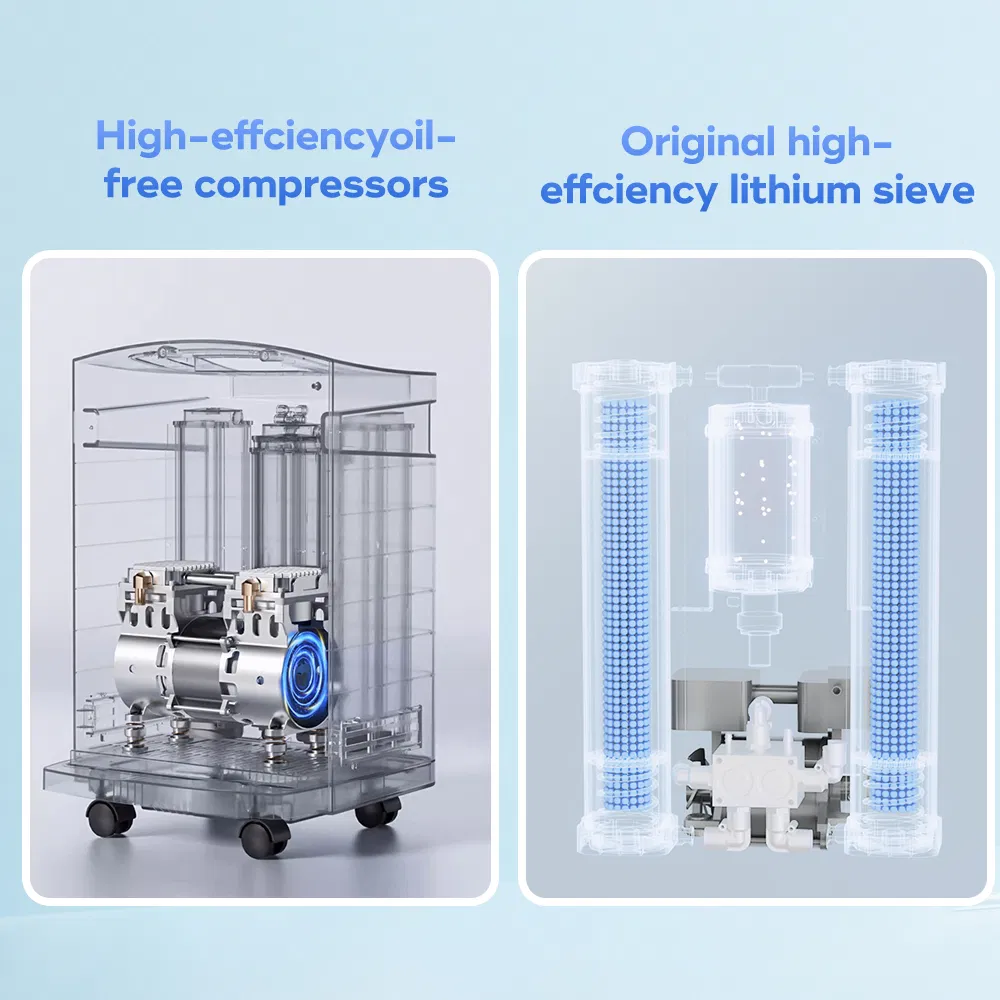 10 Liters Medical Grade Oxygen-Concentrator Factory Price Health Physical Therapy Equipments