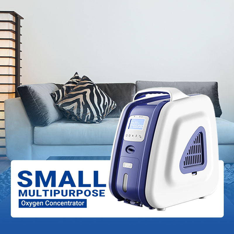 Aerti Handheld Oxygen Concentrator Electric Oxygen Equipment 3L for Hypoxia Therapy