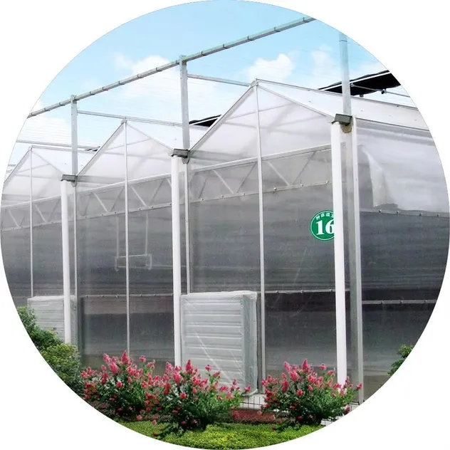 Greenhouse Part 2