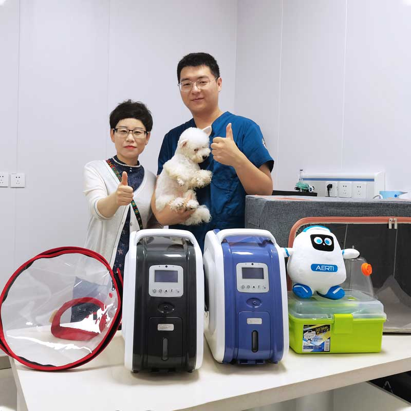Veterinary Hypoxia Treatment Concentrator Pet Therapy Oxygen Equipment for Sale