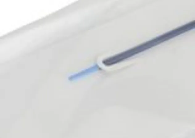 Ureteral Sheath Detail 2