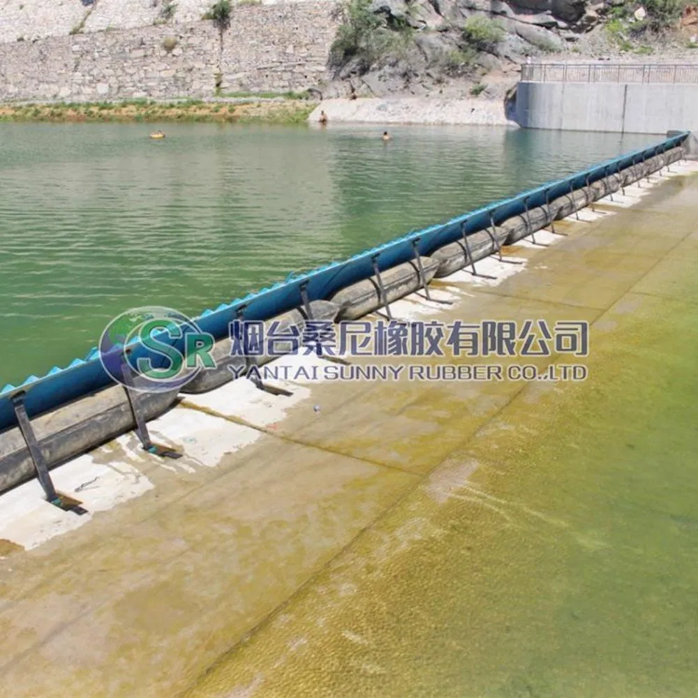 Ecological Air Bladder Support Gate The River Ecological Management Project