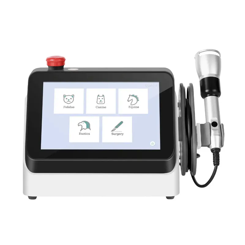 Veterinary Laser System View 1