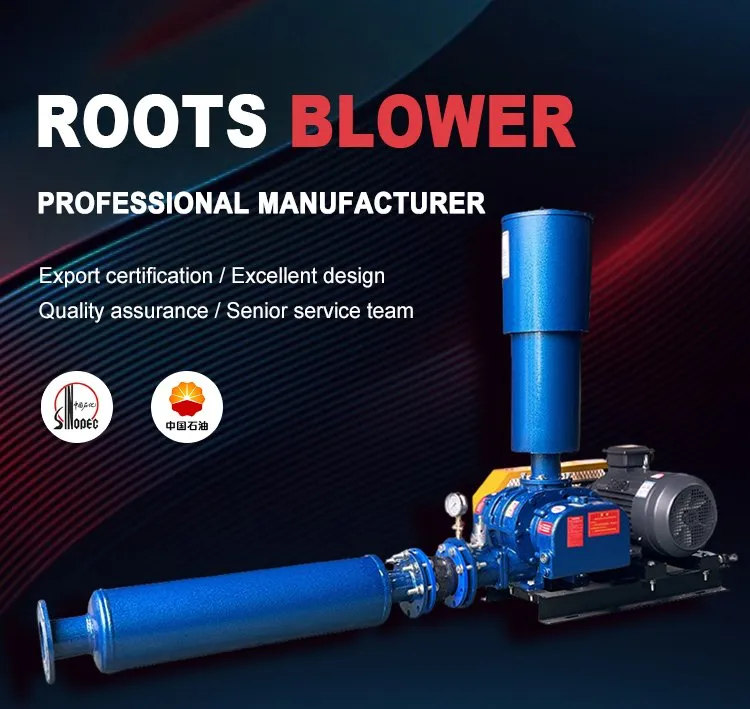 Roots Blower 1
