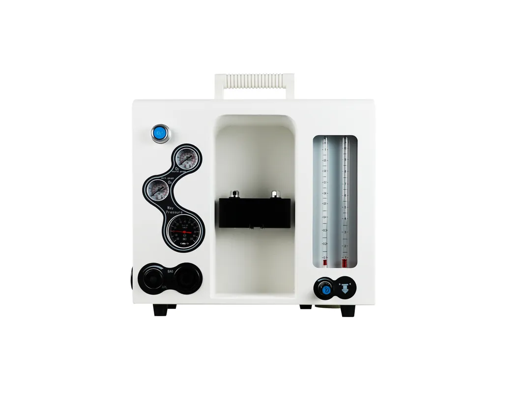 Anesthesia Monitoring