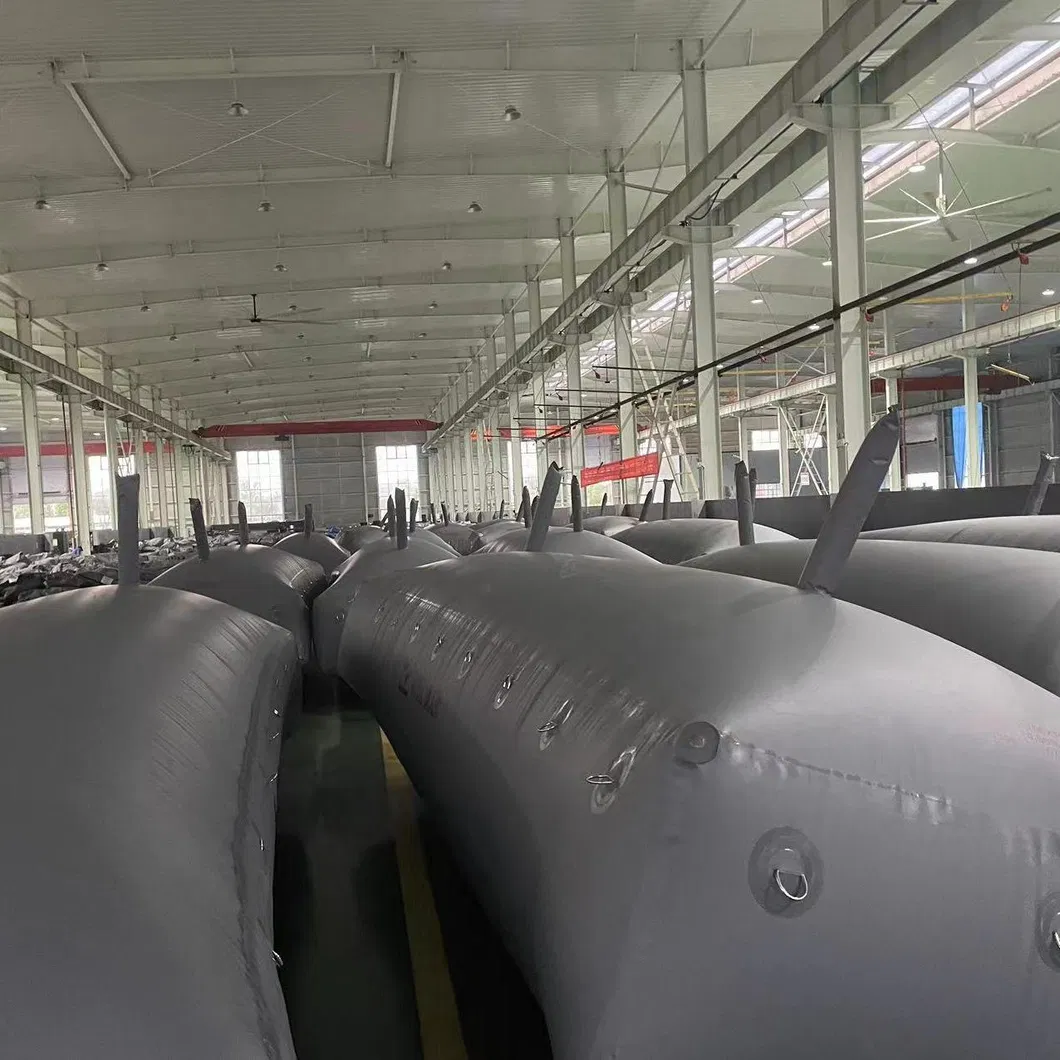 Collapsible Bladder View