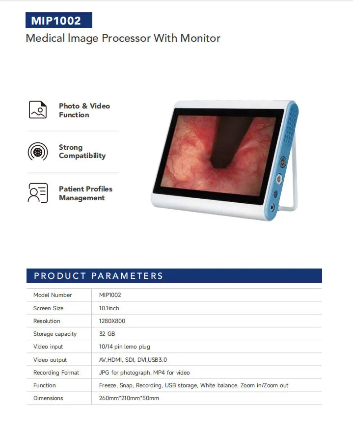 Flexible Ureteroscope View 9