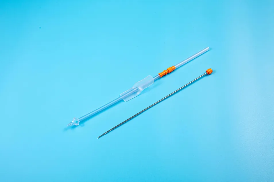 Catheter Advantage 2