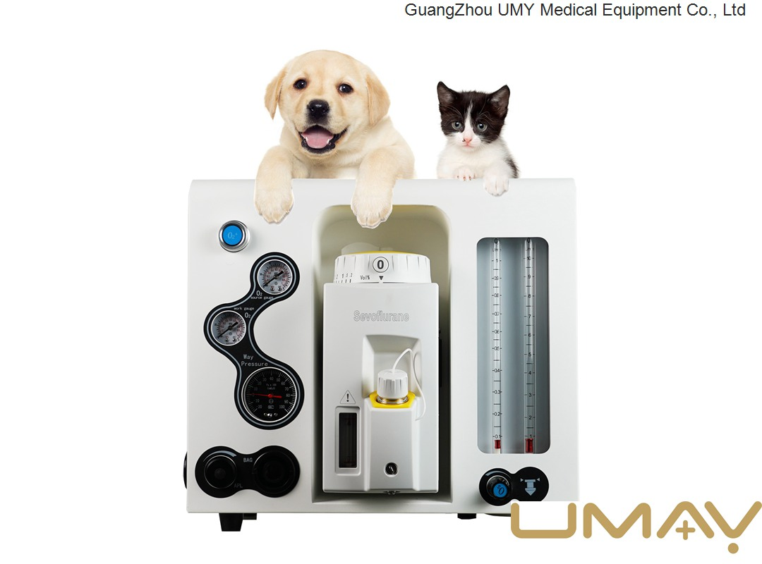 Reliable Anesthesia Delivery Systems for Modern Healthcare Settings