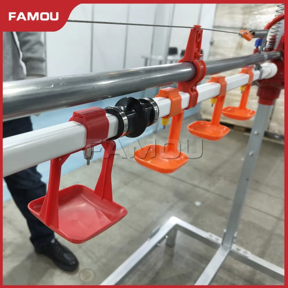 Poultry Broiler Floor Raising with State-of-The-Art Floor Breeder System