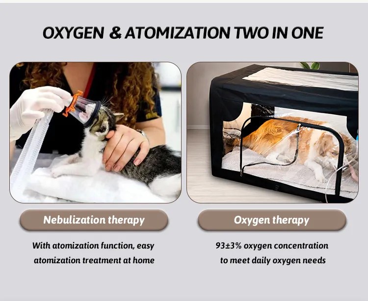 Oxygen Therapy Process