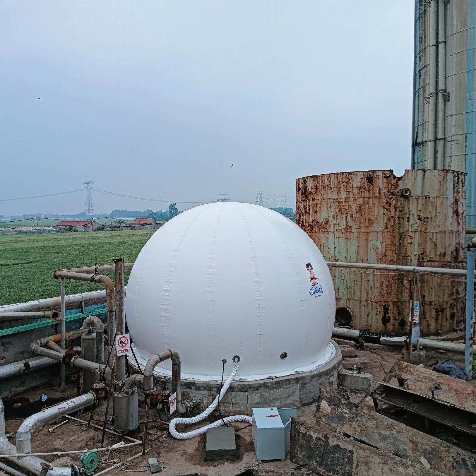 Innovative Biogas Storage Systems for Sustainable Energy Solutions