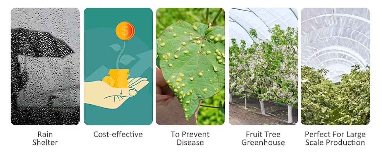 Greenhouse Application 3