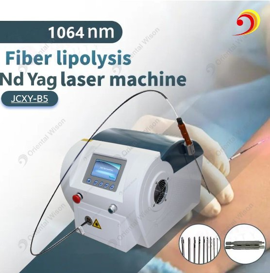 1064nm ND YAG Laser Lipolysis Weight Loss Fat Removal Hemorrhoids Treatment Body Slimming Device