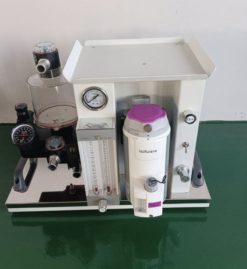 Minor Surgical Small Anesthesia Machine Mini Respiratory Anesthesia System
