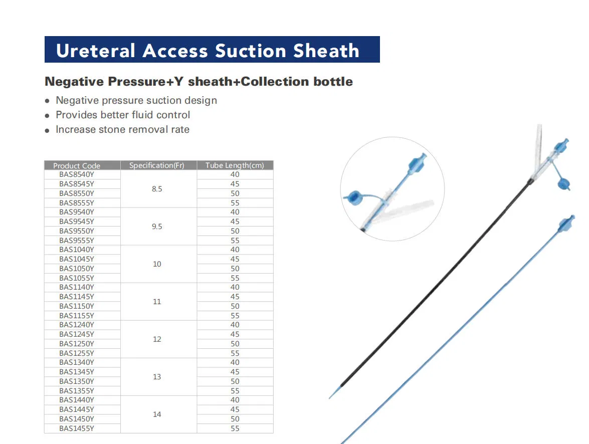 Flexible Ureteroscope View 8