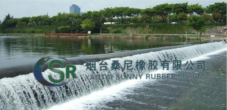 Rubber Dam Diagram